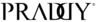 logo de Praddy